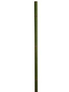 60" Bamboo Stick Green (Pack of 6)  Flowers  Patio, Lawn & Garden