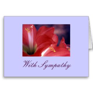 "With Sympathy" Greeting Cards
