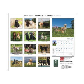 Labrador Retrievers, For The Love Of 2012 Dlx Calendar BrownTrout Publishers Inc 9781421677996 Books