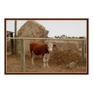 red cow print with border