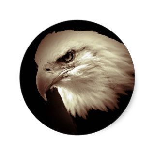 Sepia Color Bald Eagle Sticker