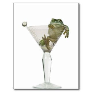Drunken Frog in Empty Martini Glass Post Cards