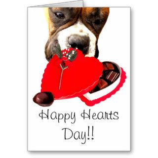 Happy hearts day boxer dog greeting card