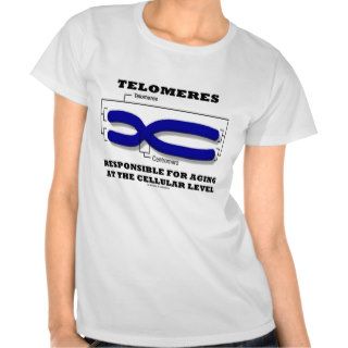 Telomeres Responsible For Aging At Cellular Level Shirts