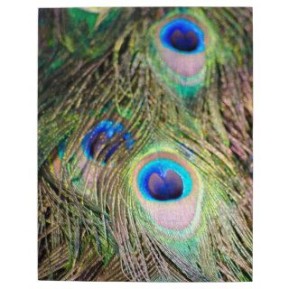 Vivid Peacock Feather Puzzle