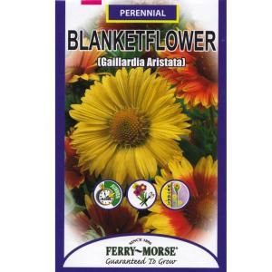 Ferry Morse 200 mg Blanketflower Seed 1018