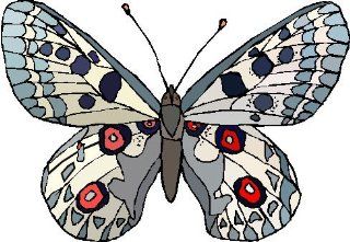 Butterfly #3 #9 4" Printed color sticker decal for any smooth surface such as windows bumpers laptops or any smooth surface. 