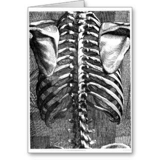 Vintage drawing of a spine and ribcage greeting card