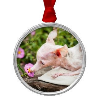 Everything Rosie Photo Ornament