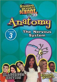 Standard Deviants School   Anatomy, Program 3   The Nervous System (Classroom Edition) Standard Deviants School Movies & TV