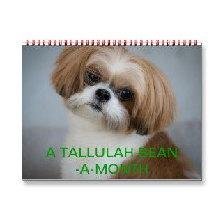 Tallulah Bean Calendar Cute Shih Tzu 2014