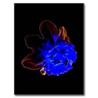 Electric Blue Glow Daffodil Postcards