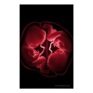 Conceptual image of a womb containing twins posters