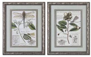 Uttermost Grandiflora Framed Art Set/2 [Kitchen] NoPart 41373   Prints