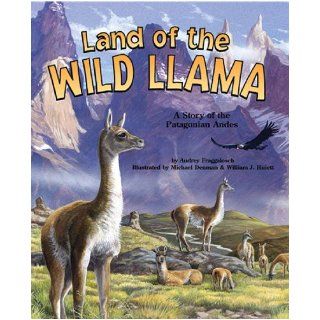Land of the Wild Llama A Story of the Patagonian Andes   a Wild Habitats Book (Soundprints Wild Habitat Collection) Audrey M. Fraggalosch, Michael Denman 9781931465816 Books