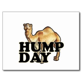 Hump Day Camel T Shirts.png Postcards