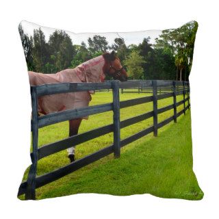 Horse looking down fence path pillows