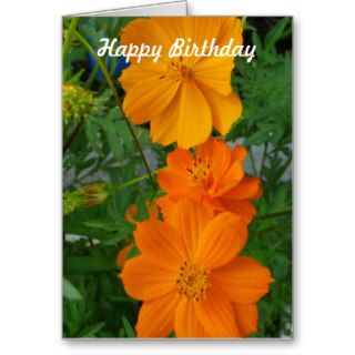 Orange Cosmos Flowers Customized Birthday Template Greeting Cards