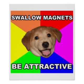 Advice Dog Swallow Magnets Print