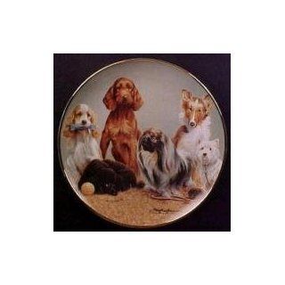 Top of the Class, ASPCA Limited Edition Puppy Collector Plate  Commemorative Plates  
