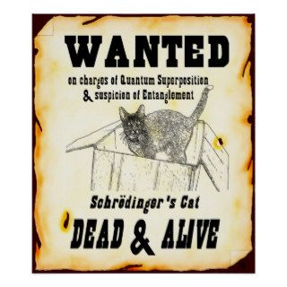 Schrodinger's Cat "Wanted" Poster