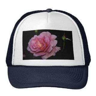 Lovely Hybrid Tea Rose 'Tiffany' Mesh Hat