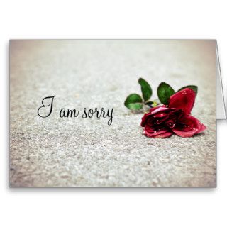 " I am sorry" rose on the street Cards