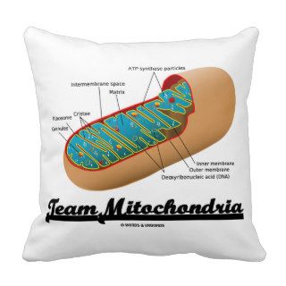 Team Mitochondria (Mitochondrion Humor) Pillow