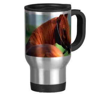 Horse Heres Looking At You Kid Arabian Mug