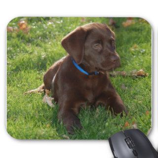 Chocolate Lab Puppy Mousepads