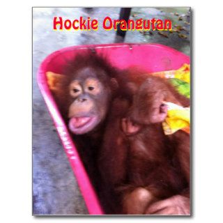 Hockie Orangutan  a special needs girl Post Cards