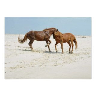 Wild Horses Fighting Poster