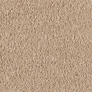 Softly II   Color Whole Grain 12 ft. Carpet 0315D 27 12