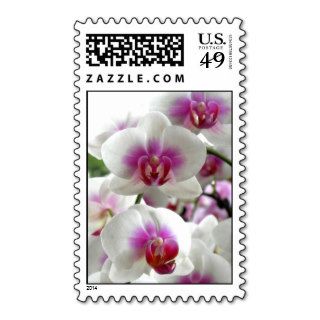Orchids/ Wedding & All Occasion Postage