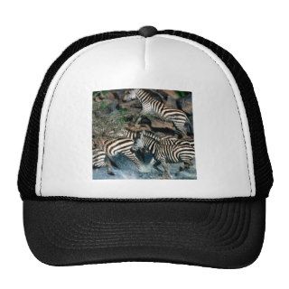 Zebra Exodus Across River Burchell Trucker Hats