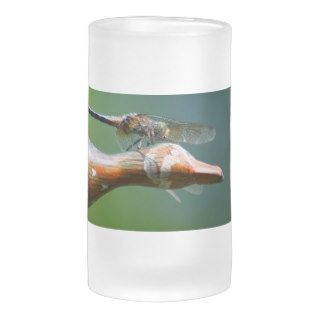 Dragonfly Co Pilot Nature Photo Frosted Glass Mug