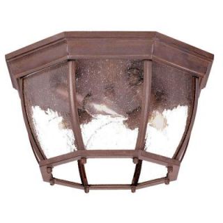 Acclaim Lighting Flushmount Collection Ceiling Mount 4 Light Outdoor Burled Walnut Light Fixture 5603BW/SD