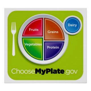 Choose My Plate Poster   in many sizes