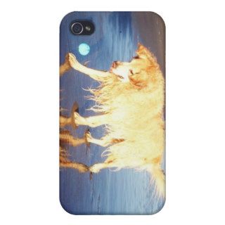 Golden Nirvana iPhone 4/4S Case