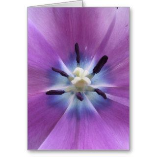 Purple Tulip Cards