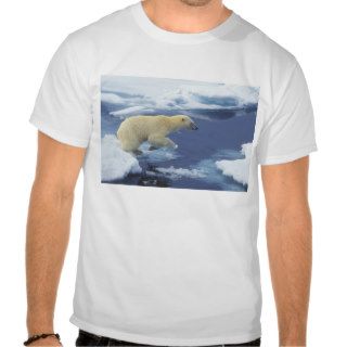 Arctic; Svalbard; Polar Bear beginning leap T shirts