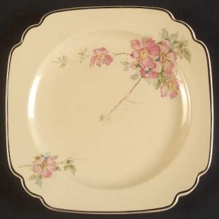 Homer Laughlin  Briar Rose Dessert/Pie Plate, Fine China Dinnerware   Century Sh