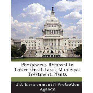 Phosphorus Removal in Lower Great Lakes Municipal Treatment Plants U. S. Environmental Protection Agency 9781289179557 Books