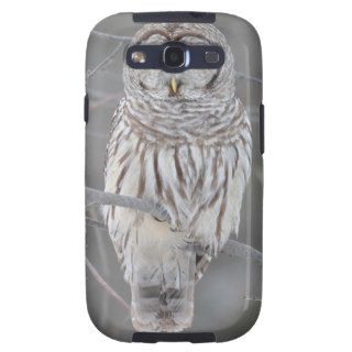 Barred Owl Unique Eyes Samsung Galaxy S3 Cover