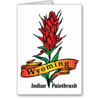 Wyoming WY Vintage State Flower Indian Paintbrush Card