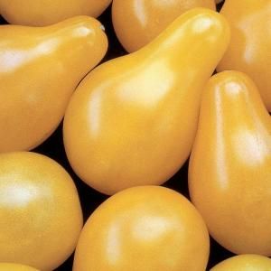 Seeds of Change Tomato Yellow Pear Seeds Pack 01620