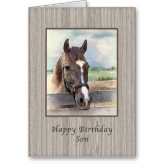 Birthday, Son, Brown Horse with Bridle Card