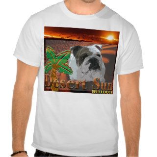 Men's Desert Sun T Shirts