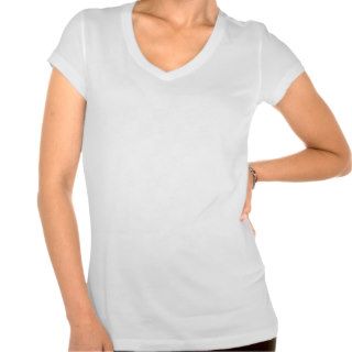 Plain White Women's Bella Plus Size Jersey V neck T Shirts