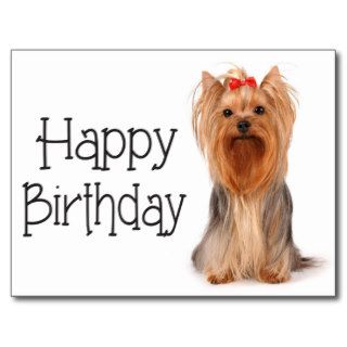 Happy Birthday Yorkshire Terrier Puppy Postcard